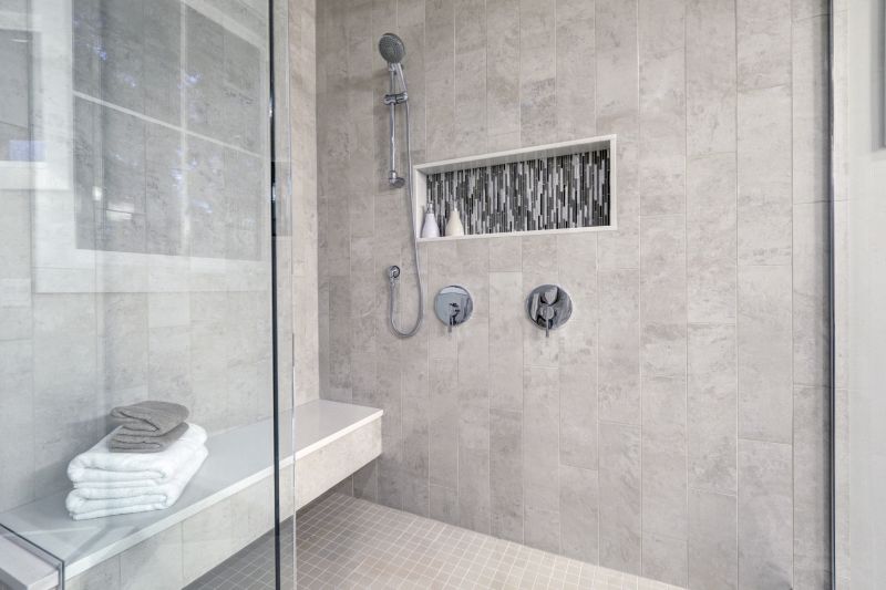Compact Shower with Niche